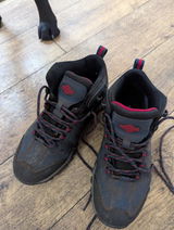 SazK review photo