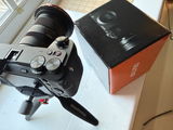 dainius rimkus review photo