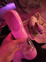Michel Jérémy review photo