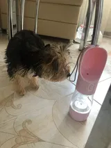 Bouvier Anthony review photo