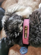 Huet Samuel review photo