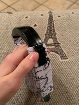 Remy Stanislas review photo