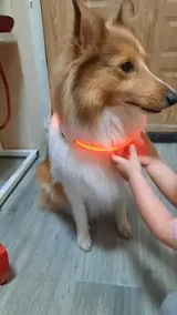 Fournier Roméo review photo