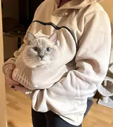 Roger Perez review photo
