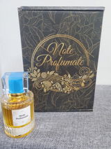 Alessandro P. review photo
