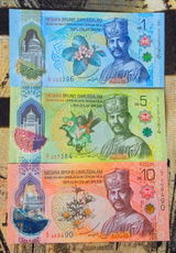 Javier Muñoz review photo