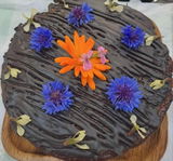 L Miller Harmony Gardens and Grub Ltd review photo