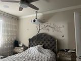 esteban gavilanes review photo