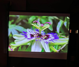 Leocadio review photo