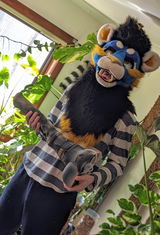 Altin review photo