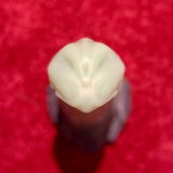 T0y C0llect0r review photo