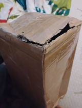 Juniper Bheironquros review photo