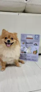 Luna review photo