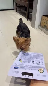 You Bin review photo