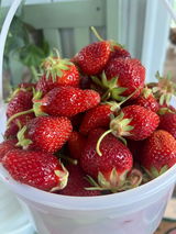 Blooms and Berries Farm review photo