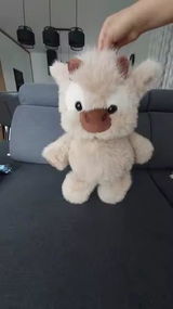Romain.g review photo