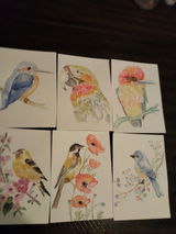 Sophie R. review photo
