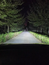 Jackie Lorf review photo