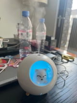 Neya review photo