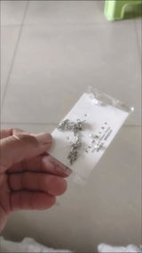 C***** review photo