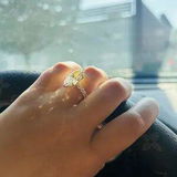 Z**l review photo