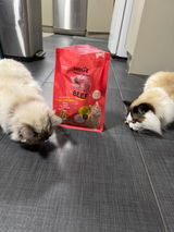 Lexie and Luna review photo