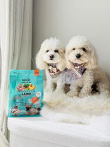 Hachi & Chiko review photo