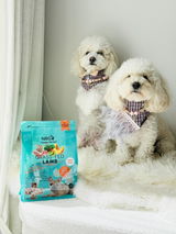 Hachi & Chiko review photo