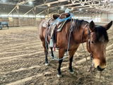 Megan review photo