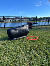 George review photo