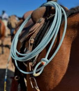 Brayden review photo