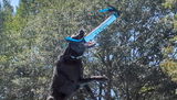 LindaG review photo