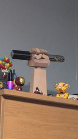 RJ review photo