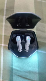 RaviBird review photo