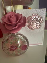 Andreia L. review photo
