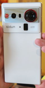 Marjan review photo