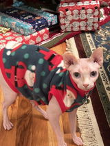 Dascha’s mom review photo