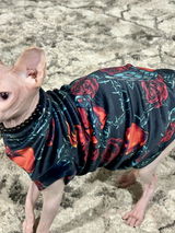 Dascha’s mom review photo