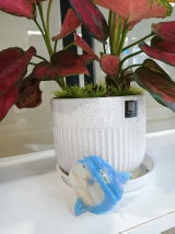 MarshallEvan review photo