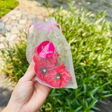 Luna review photo