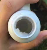 Irenn B. review photo