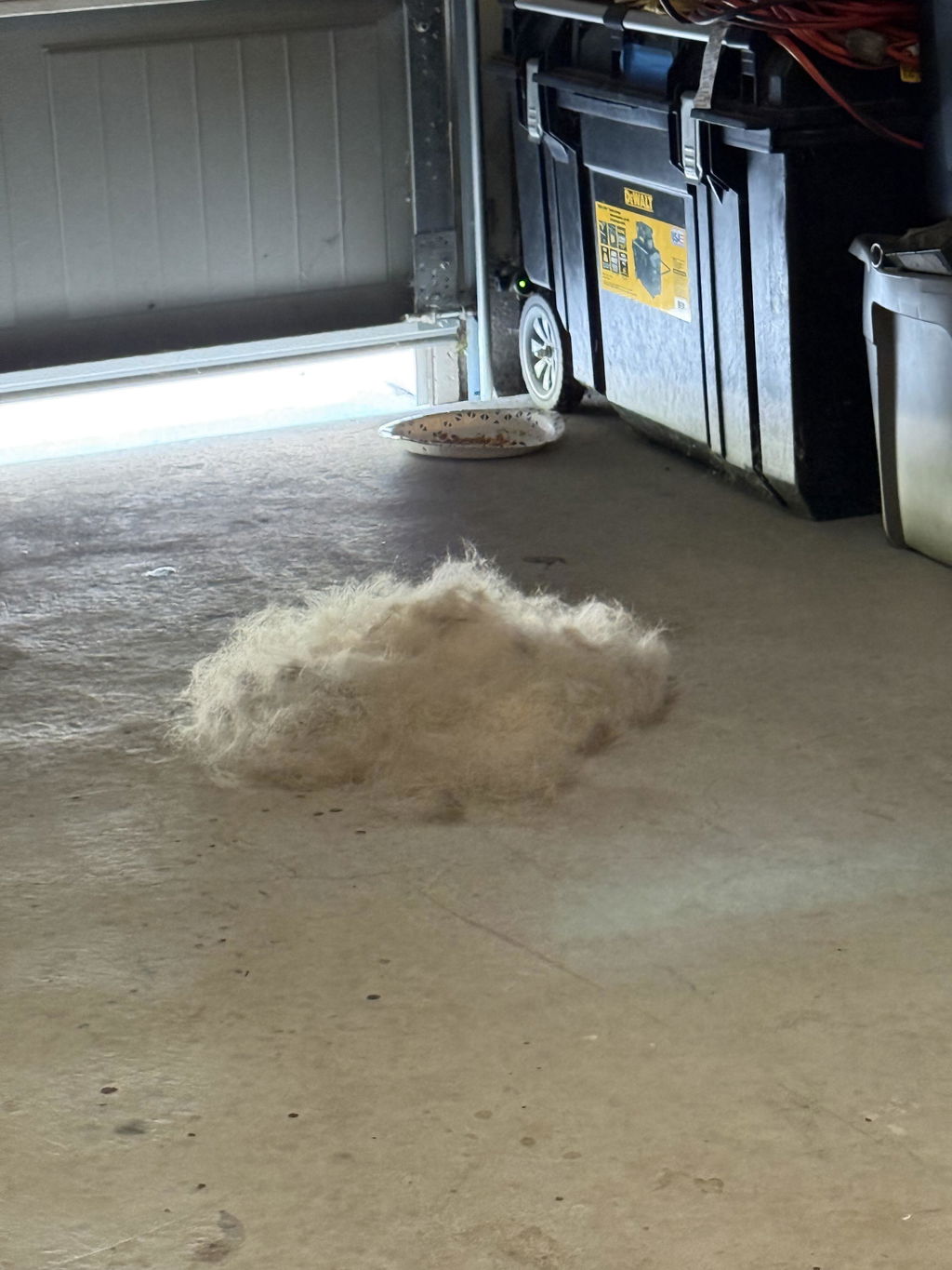 The Original FureverBrush® - Pro Grooming Tool