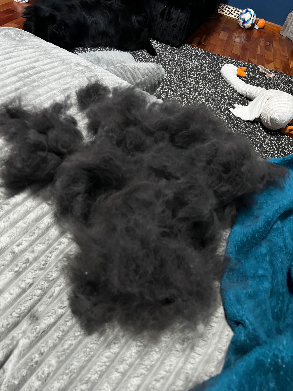 The Original FureverBrush® - Pro Grooming Tool