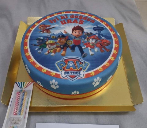 Paw Patrol Doğum Günü Pasta