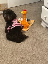 Kiarra review photo