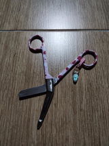 Roxy review photo