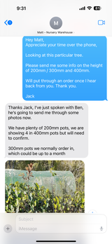 Jack review photo