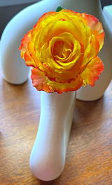 Anne Sonter review photo