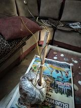 vivek kumar review photo