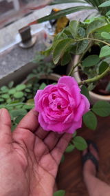 Priya Sharma review photo